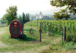 Weinberge von Schloss Proschwitz