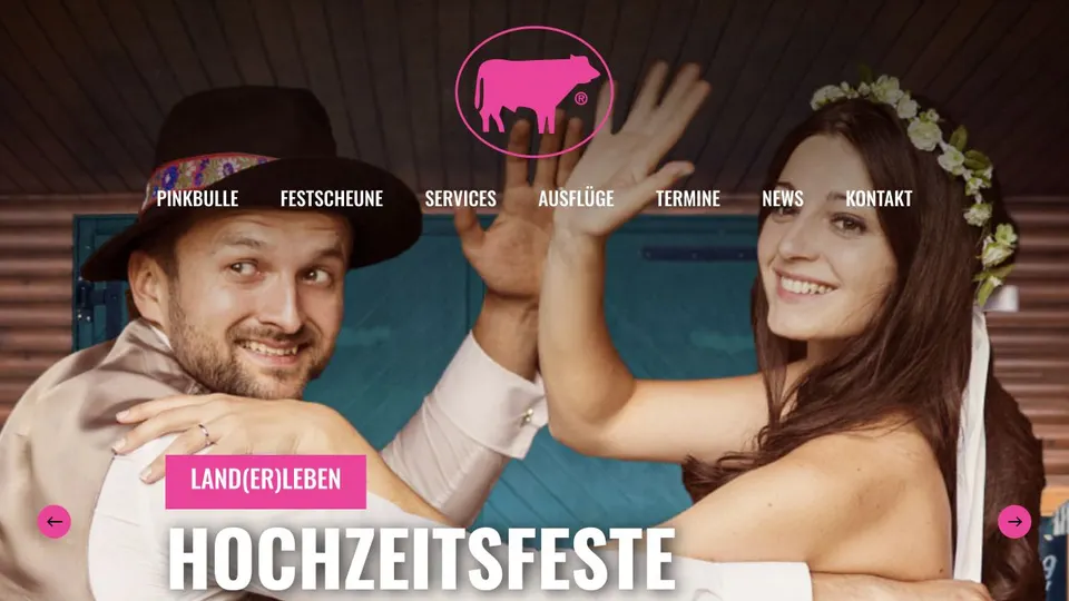 Aktuelle Website von Pinkbulle